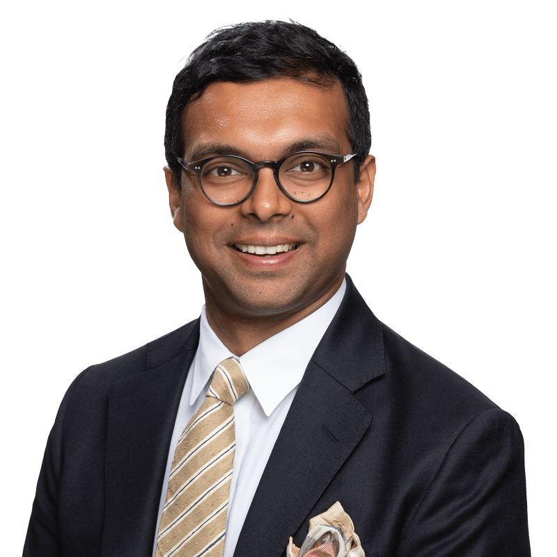 Kaushik Krishnan | Cornerstone Research